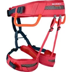 Mammut Ophir Harness - Kids' -Outdoor Sports Shop BAR D1