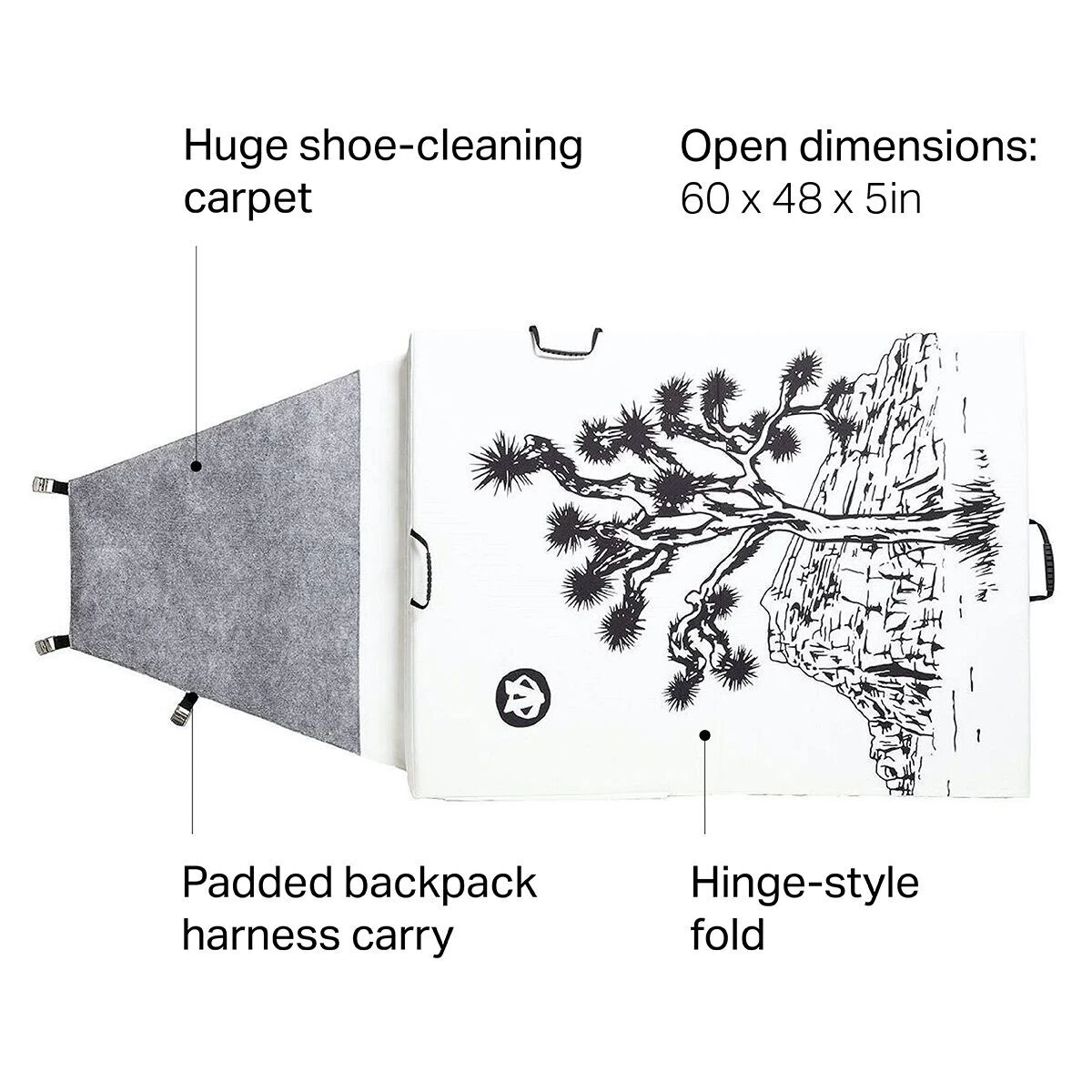 Evolv Launch Pad 7 Evolv Launch Pad - Image 7