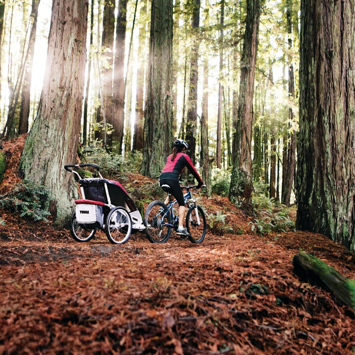 Thule Chariot Bicycle Trailer Kit 1 Thule Chariot Bicycle Trailer Kit